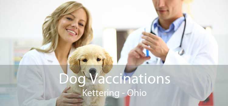 Dog Vaccinations Kettering - Ohio