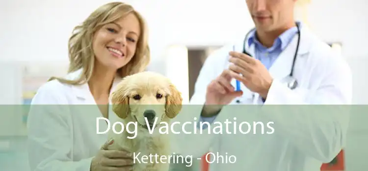 Dog Vaccinations Kettering - Ohio