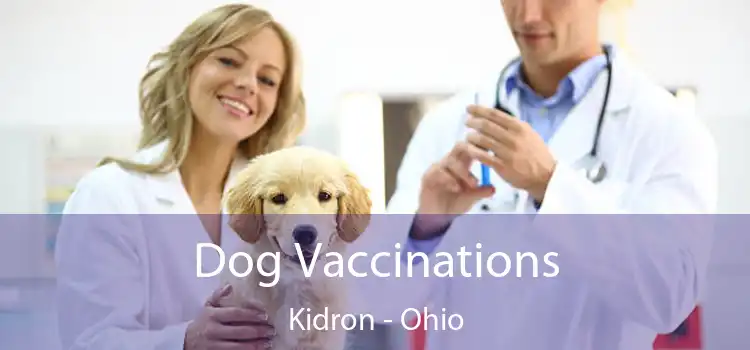 Dog Vaccinations Kidron - Ohio