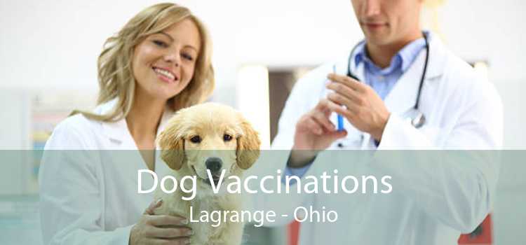 Dog Vaccinations Lagrange - Ohio
