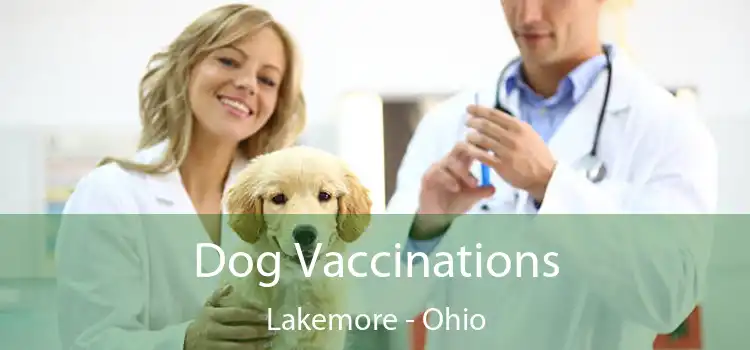 Dog Vaccinations Lakemore - Ohio