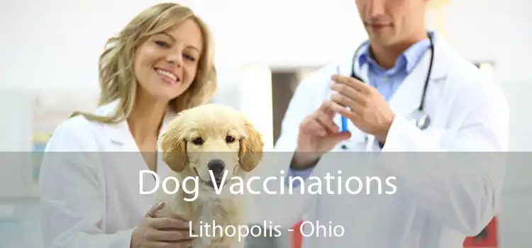 Dog Vaccinations Lithopolis - Ohio