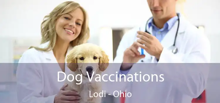 Dog Vaccinations Lodi - Ohio