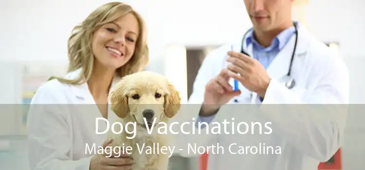 Dog Vaccinations Maggie Valley - North Carolina