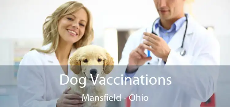 Dog Vaccinations Mansfield - Ohio