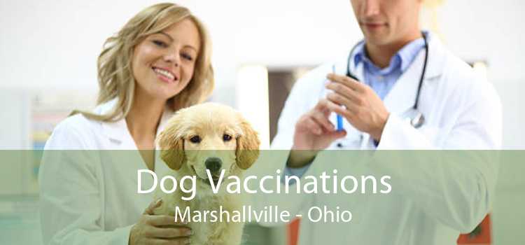 Dog Vaccinations Marshallville - Ohio