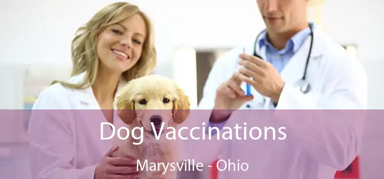 Dog Vaccinations Marysville - Ohio