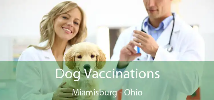Dog Vaccinations Miamisburg - Ohio