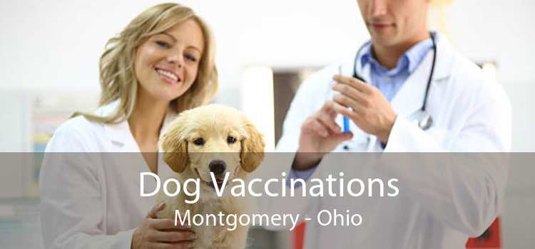 Dog Vaccinations Montgomery - Ohio
