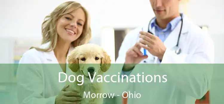 Dog Vaccinations Morrow - Ohio