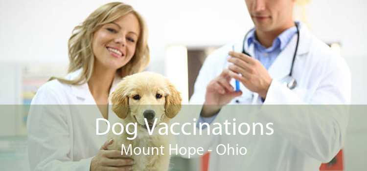 Dog Vaccinations Mount Hope - Ohio