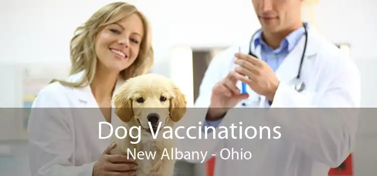 Dog Vaccinations New Albany - Ohio