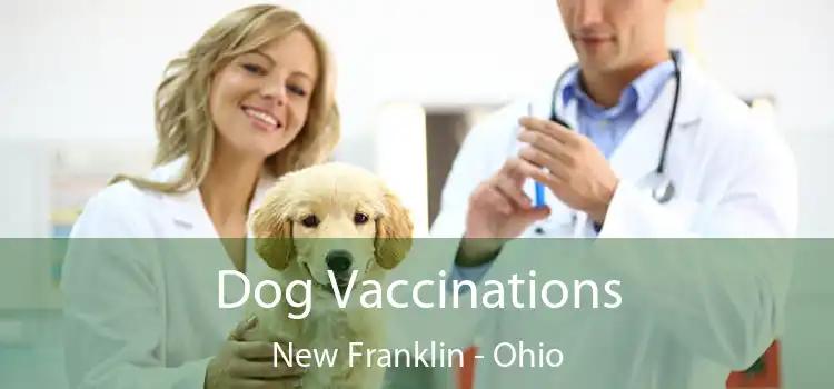Dog Vaccinations New Franklin - Ohio