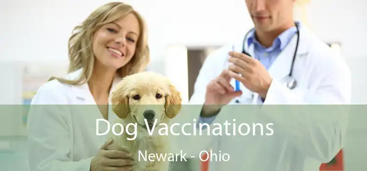 Dog Vaccinations Newark - Ohio