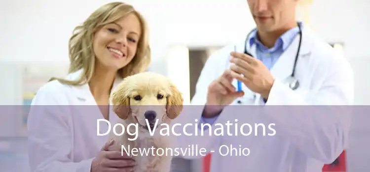 Dog Vaccinations Newtonsville - Ohio