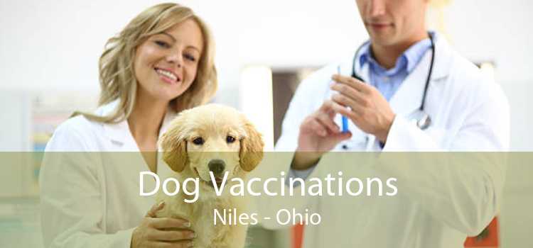 Dog Vaccinations Niles - Ohio