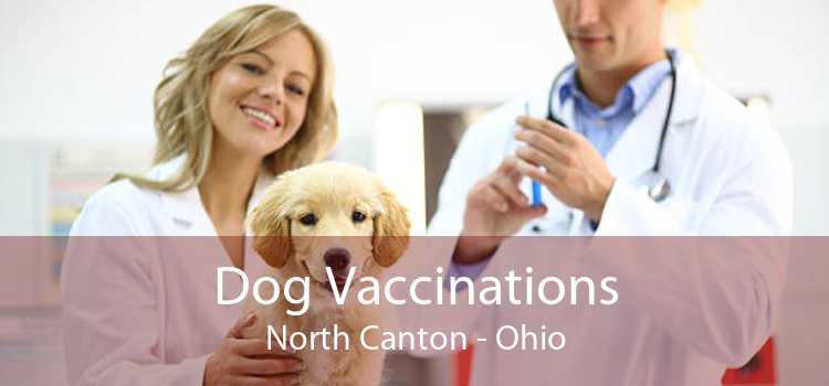 Dog Vaccinations North Canton - Ohio