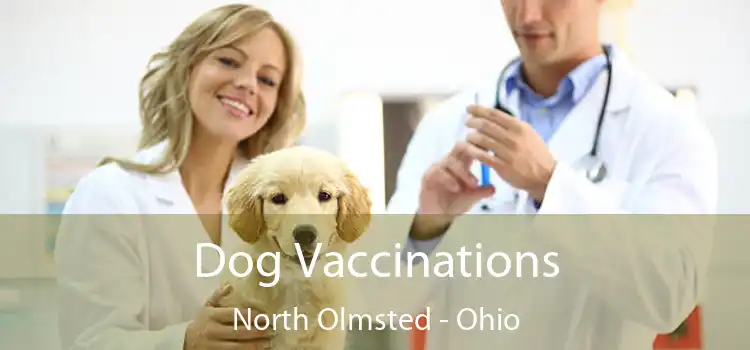 Dog Vaccinations North Olmsted - Ohio