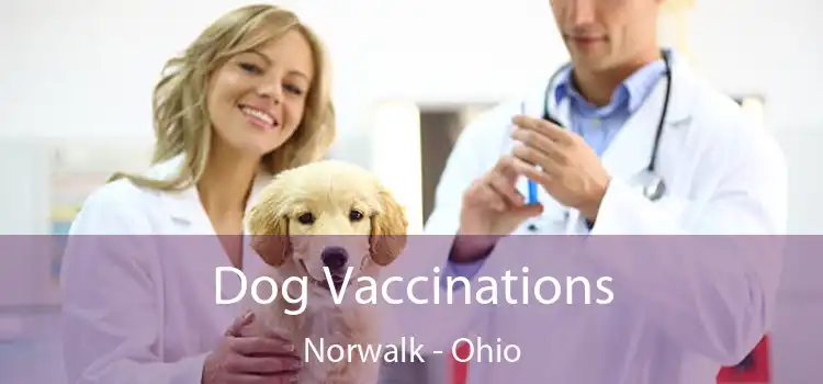 Dog Vaccinations Norwalk - Ohio