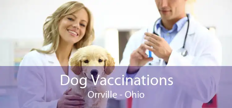 Dog Vaccinations Orrville - Ohio