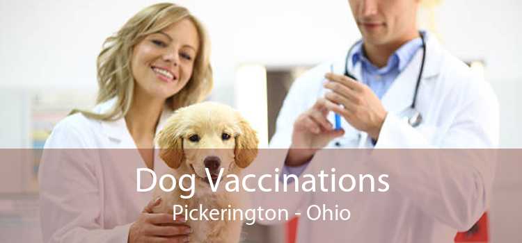 Dog Vaccinations Pickerington - Ohio