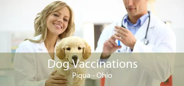 Dog Vaccinations Piqua - Ohio