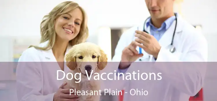 Dog Vaccinations Pleasant Plain - Ohio