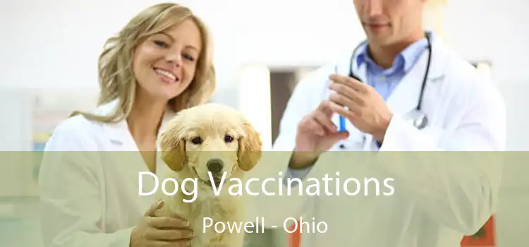 Dog Vaccinations Powell - Ohio