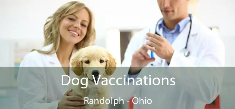 Dog Vaccinations Randolph - Ohio