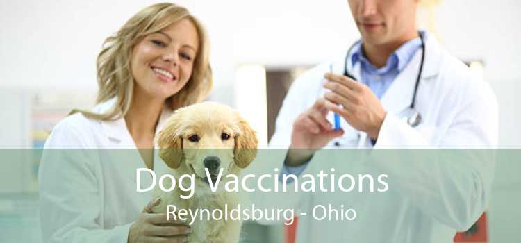 Dog Vaccinations Reynoldsburg - Ohio