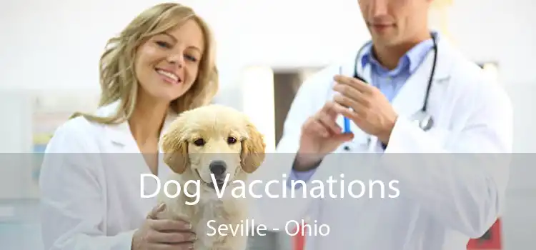 Dog Vaccinations Seville - Ohio