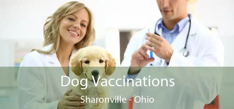 Dog Vaccinations Sharonville - Ohio