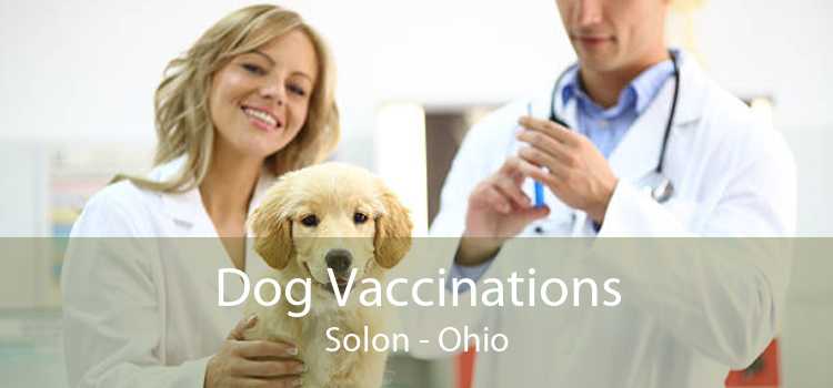 Dog Vaccinations Solon - Ohio