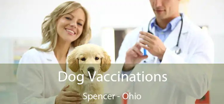 Dog Vaccinations Spencer - Ohio