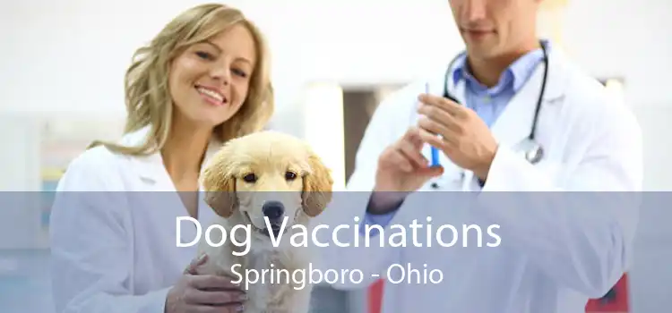 Dog Vaccinations Springboro - Ohio