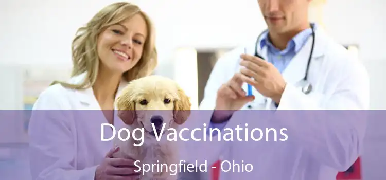 Dog Vaccinations Springfield - Ohio