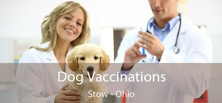 Dog Vaccinations Stow - Ohio