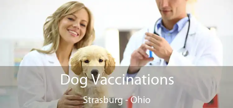 Dog Vaccinations Strasburg - Ohio