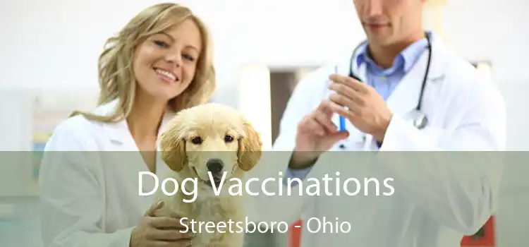 Dog Vaccinations Streetsboro - Ohio