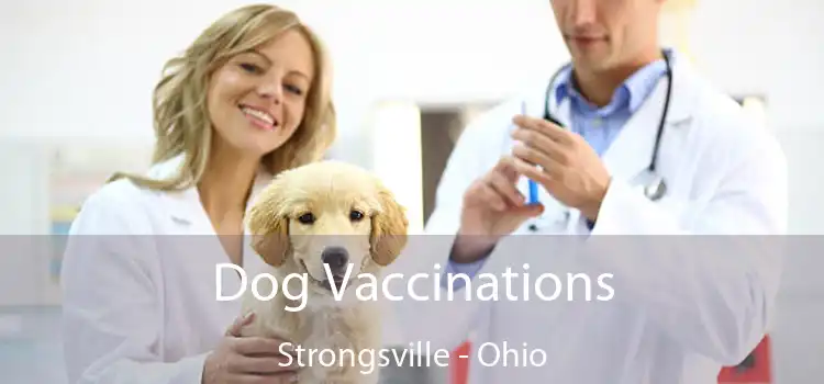 Dog Vaccinations Strongsville - Ohio