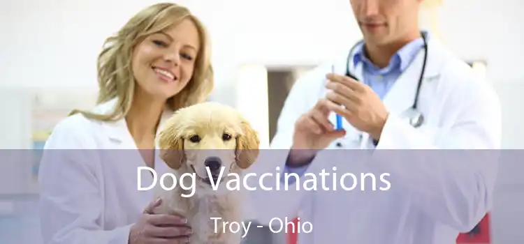 Dog Vaccinations Troy - Ohio