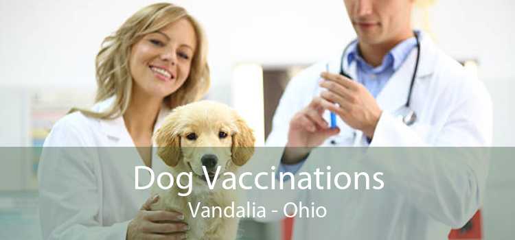 Dog Vaccinations Vandalia - Ohio