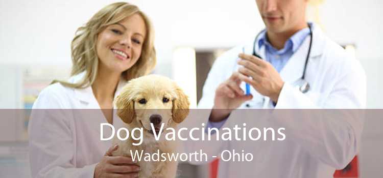 Dog Vaccinations Wadsworth - Ohio