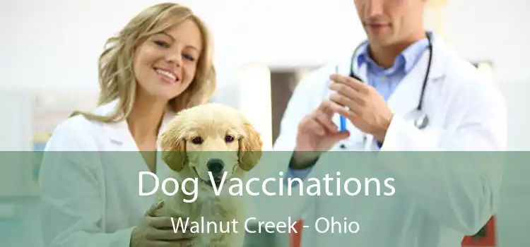 Dog Vaccinations Walnut Creek - Ohio