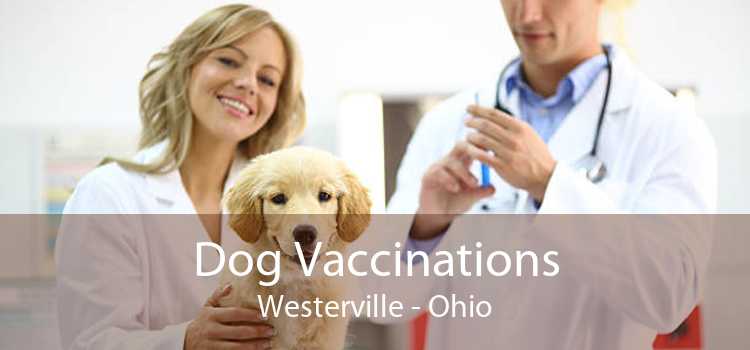 Dog Vaccinations Westerville - Ohio