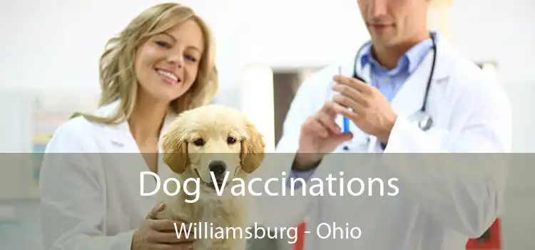 Dog Vaccinations Williamsburg - Ohio