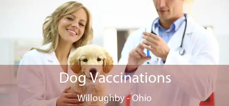 Dog Vaccinations Willoughby - Ohio