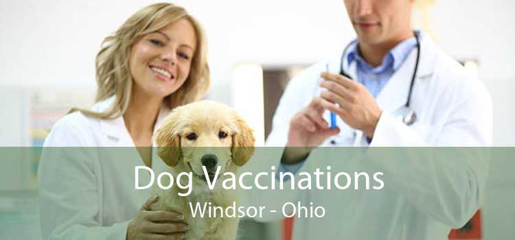 Dog Vaccinations Windsor - Ohio