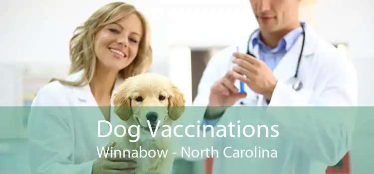 Dog Vaccinations Winnabow - North Carolina