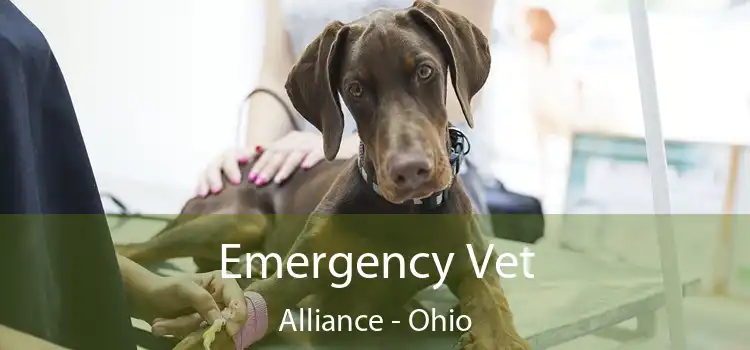 Emergency Vet Alliance - Ohio